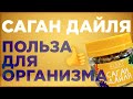 Саган Дайля. Саган Дайля  польза для организма.