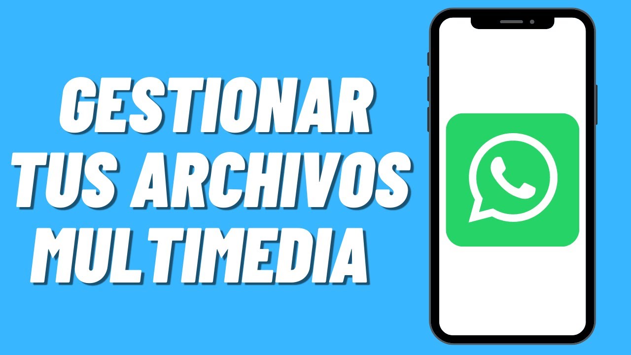 Cómo gestionar tus archivos multimedia de Whatsapp