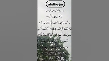 SURAH AL BALAD BEAUTIFUL VOICE 😍 سورة البلد #surahalbalad #albalad