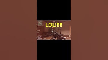 MW2 DMZ - A.I. Bug that isn