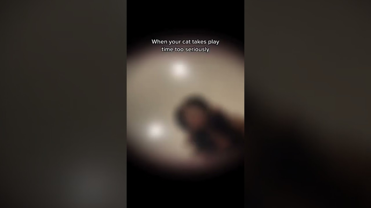 And it’s a knockout! 