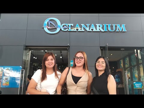 Treasured Moments w/ friends @Bhamelodyvlogs2021 @Zdiaries-28 | Thanks 🍯🧸@JVOutdoors for the treat 🥰