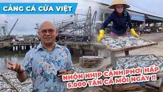 The wonderful, unignorable footage of making steamed Round Scads of Cua Viet Fishery Port.