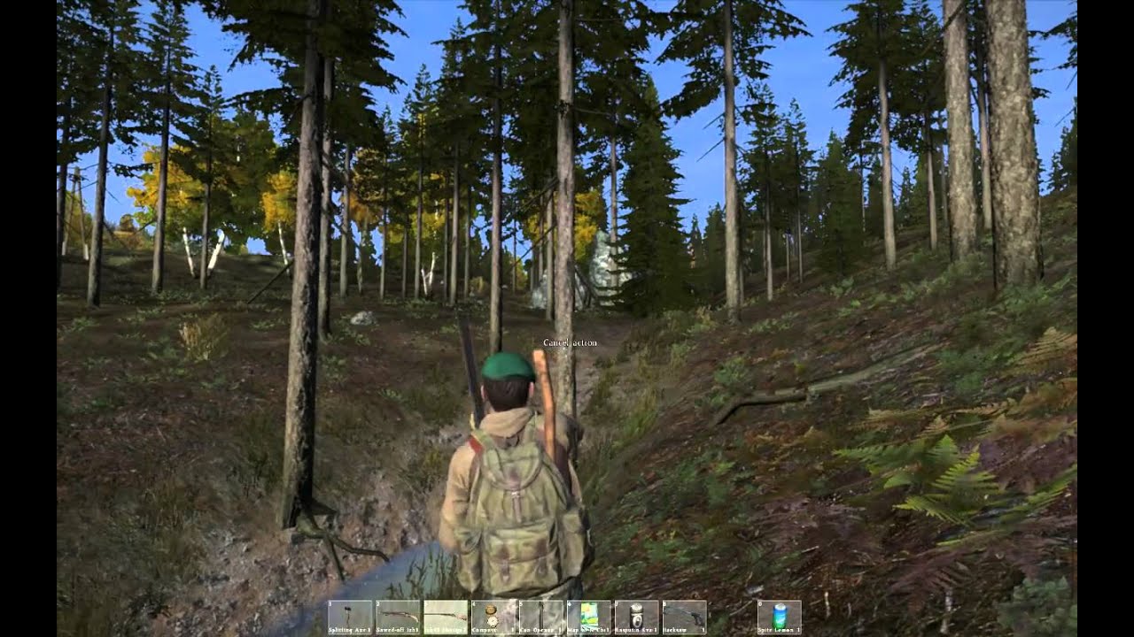 DayZ Standalone Alpha 0.32.114557 - Shotgun sound