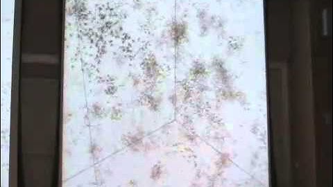 Collective Motion: Some Models and Experiments