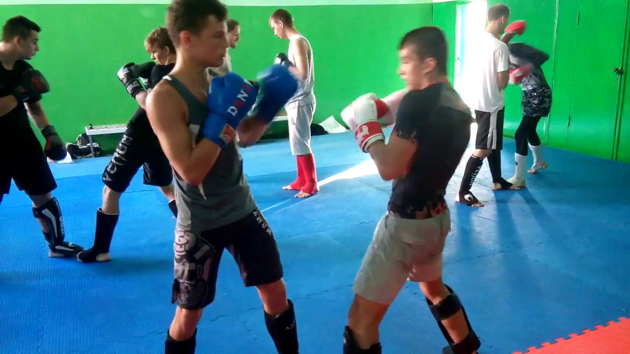 Provimed Balkan Pharmaceuticals �����������: ����.