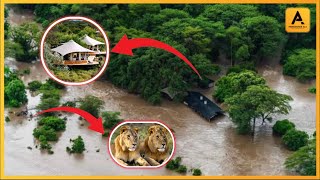 FLOODS IN MASAI MARA! TOURISTS STUCK EVACUATED AFTER HOTELS & LODGES SUBMERGED
