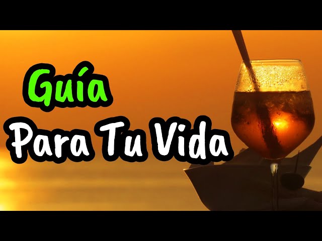 Si Amas La Vida, La Vida Te Amará ¦ Guía Para Tu Vida ¦ Reflexión, Gratitud, Motivación class=