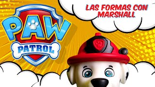 🐾 PAW PATROL🐾 Aprendemos las FORMAS - Video para niños de 4 a 5 años