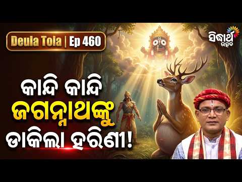 ଜଗନ୍ନାଥଙ୍କୁ ଡାକି ପ୍ରାଣ ତ୍ୟାଗ କଲା ଗର୍ଭବତୀ ହରିଣୀ! | Deula Tola Ep 460 | Siba Nana | Sidharth Utsav