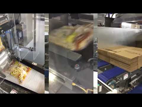 BluePrint Automation (BPA) Case Packer Cubemaster 200i