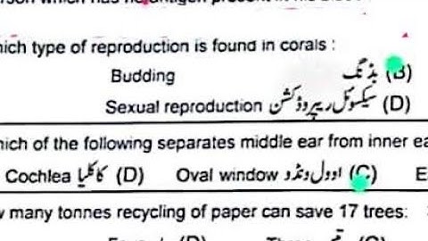 10th Biology Today paper group 2 solved Bise lahore