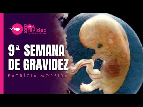 Vídeo: 9 semanas de desenvolvimento do bebê