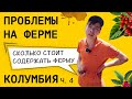 Сколько стоит содержать ферму в Колумбии || Проблемы и решения на ферме Ла Виолета || Колумбия ч 4