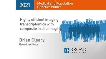 MPG Primer: Highly efficient imaging transcriptomics with composite in situ imaging (2021)