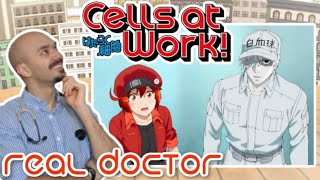 REAL Doctor reaction to Cells at Work Anime review | Hataraku Saibou | Pneumococcus