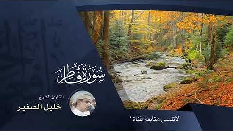 الشيخ خليل الصغير اليمني. سورة فاطر