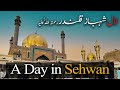 A day in sehwan  lal shahbaz qalandar  documentary