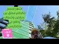 احلى واخطر مسبح فالعالم بين عمارتين وشفاف 