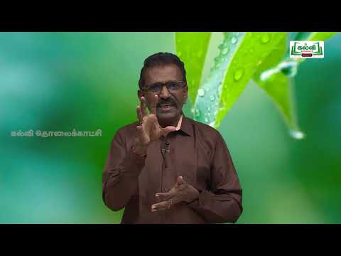 NEET BIO BOTANY PLANT ANATOMY Kalvi TV