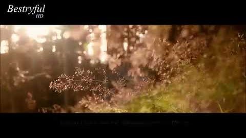 سورة يس .. من الآية1الى31- يعقوب يوسف نسيم Surah yaseen - Yaqoob Naseem