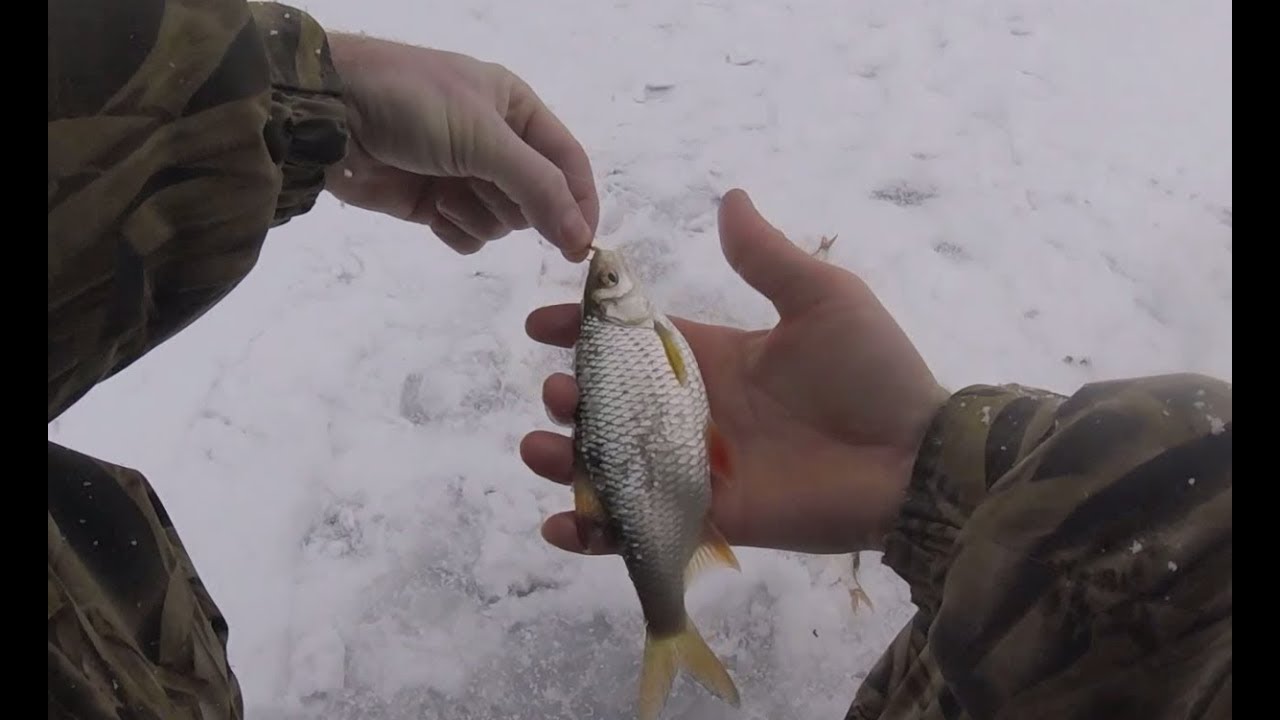 рыбалка на джиг со льда