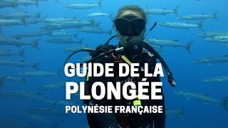 Guide Ultime de la Plongée en Polynésie française