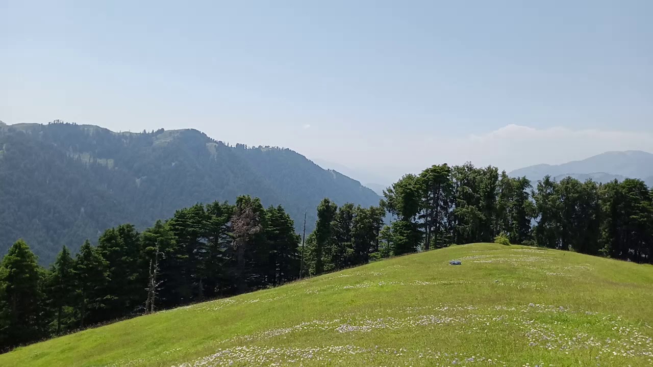 Himachali song status video pahari songdudu basantgarhNature 