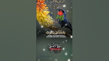 تلاوة خاشعة عطرة مباركة جميلة عذبة للشيخ ماهر المعيقلي ماتيسر من سورة الأعلى