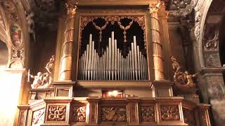 : PONCHIELLI - ORGAN MUSIC | Larghetto-Allegretto