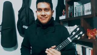 ¿Cuáles son las partes del ukulele?