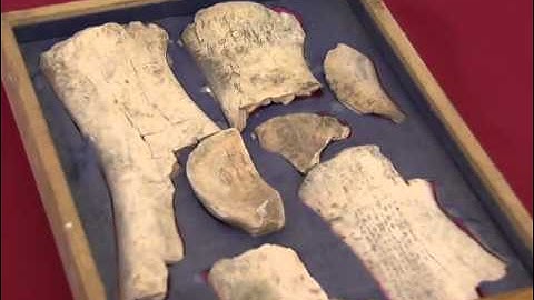 New discoveries made in China oracle bones