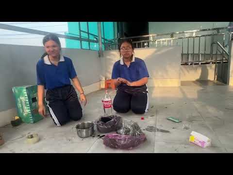 Sinh Học Bài 16 - Thực Hành: Cảm Ứng Ở Thực Vật