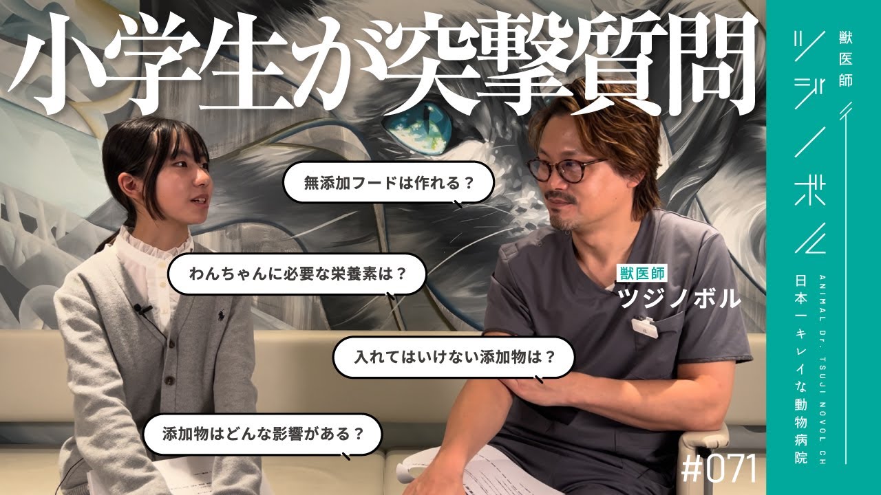 質問】現役小学生にドッグフードのことをたくさん聞かれました【獣医師