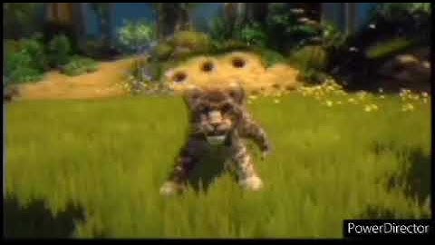 What Did You Think About My Wildest Awesomeness Amazingness Zoo Tricks In The World.