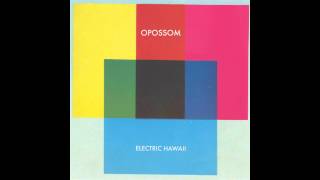 Opossom - 05 Electric Hawaii