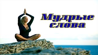 Мудрые Слова.  Искусство Похищения