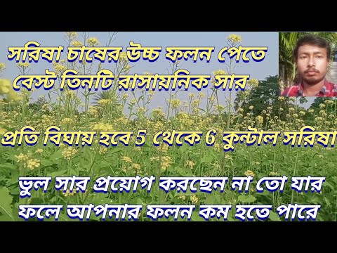 Yapon jinsiy masturbatsiyasi Qizlar belanchak jinsiy aloqa video