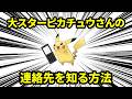 ポケモン界のスター、ピカチュウさんの連絡先を知る方法について解説【ポケモン解説】