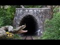 Rail traffic in romania  snakes tunnels bridges  national park jiului 4k