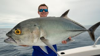 GIANT Ocean ROAMING Trevally! Catch Clean Cook