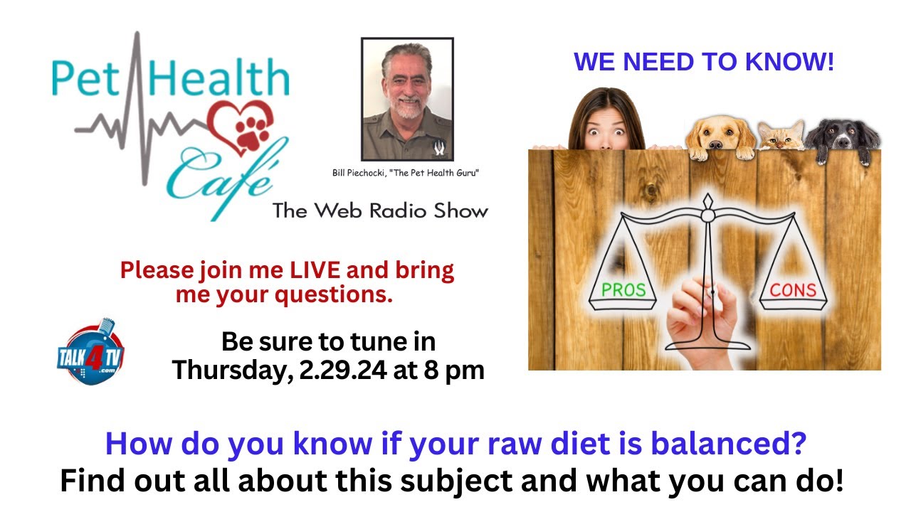 Raw Diets - are they really balanced?