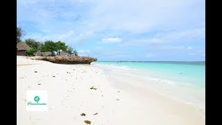 Zanzibar Travel Guide - Tanzania paradise