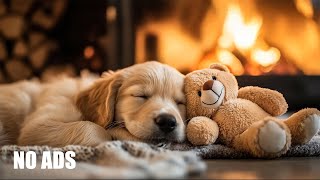 12 Hours of Deep Sleep Music for Dogs 🐶 Anti-Separation Anxiety Relief 🎵💖 Healing Dog Music 💖 No Ads