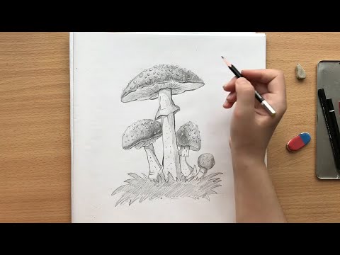 Грибы мухоморы рисунок графитовым карандашом | Amanita mushrooms drawing with graphite pencil