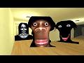 { GMOD } Run away nextbots in liminal Hotel Garry s mod 4K 60FPS