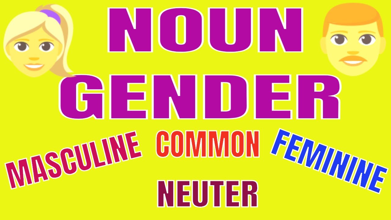 NOUN GENDER YouTube