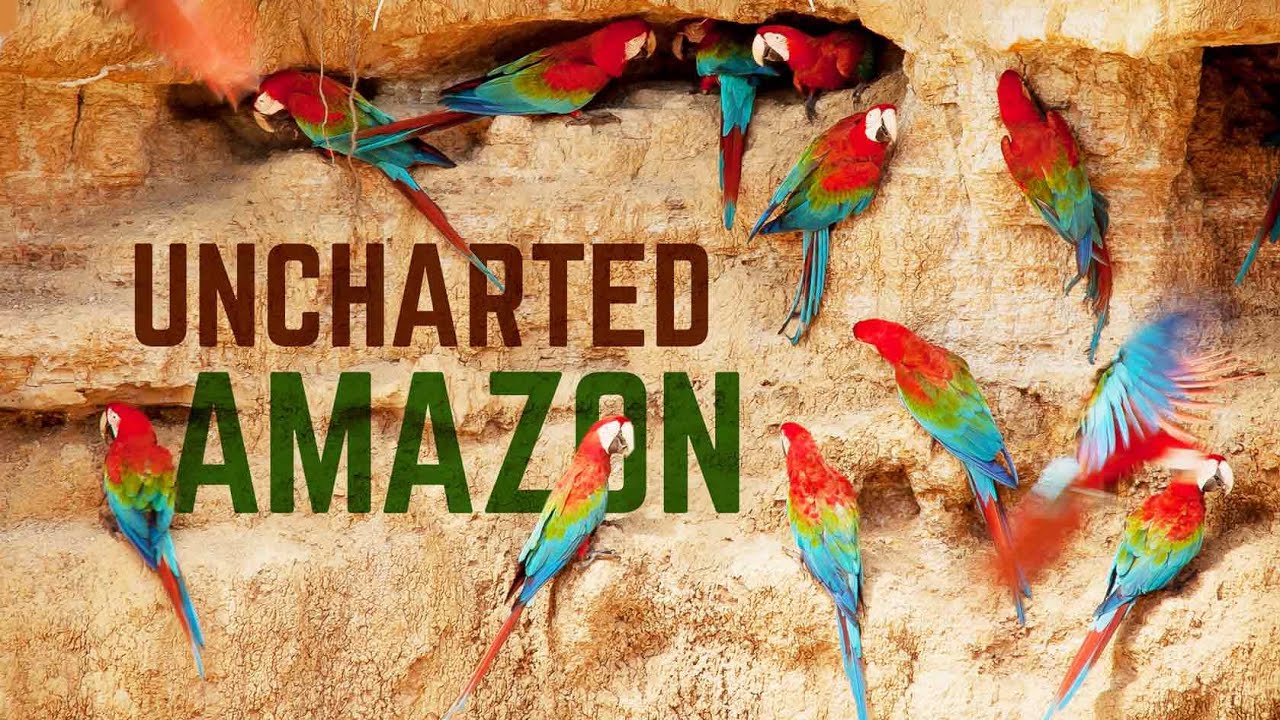 Uncharted the beautiful world of the amazon