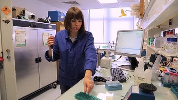 How to Quantify DNA with a Spectrophotometer