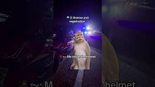 funny viral clips #shorts